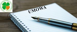 Opis: UMOWA
