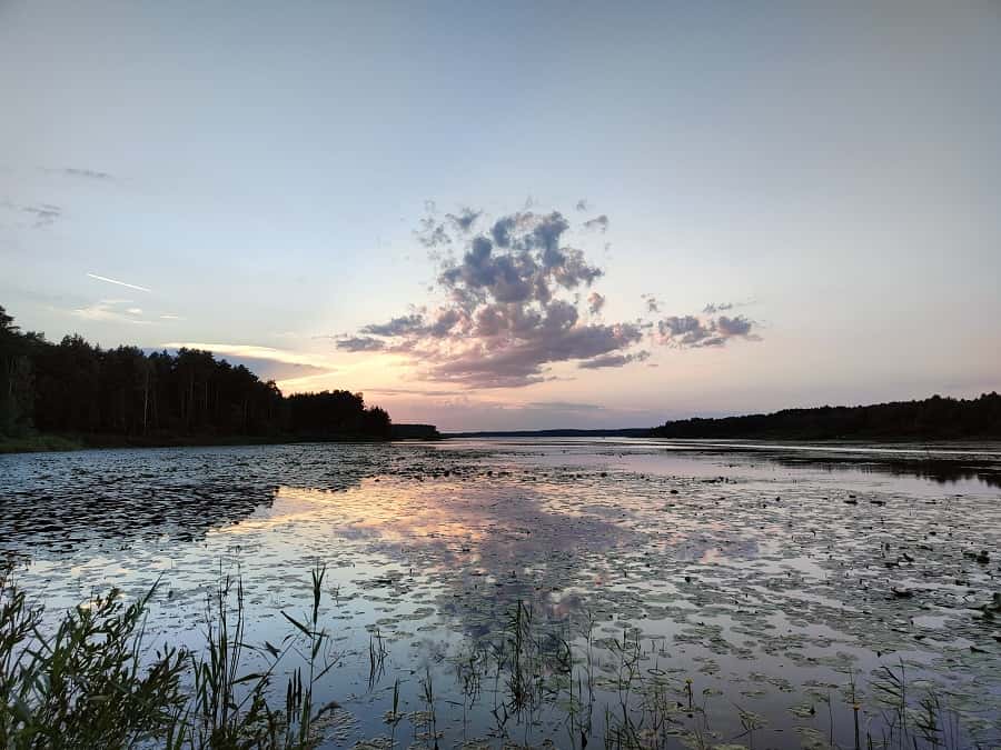 Plik obrazu: zdjecie_3.jpg