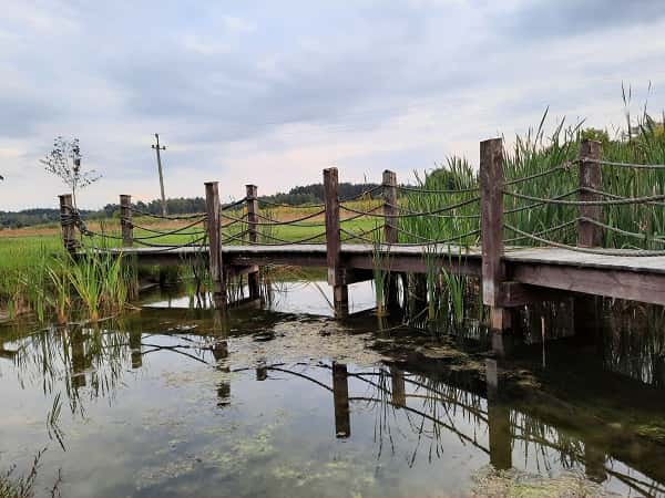 Plik obrazu: zdjecie_8.jpg